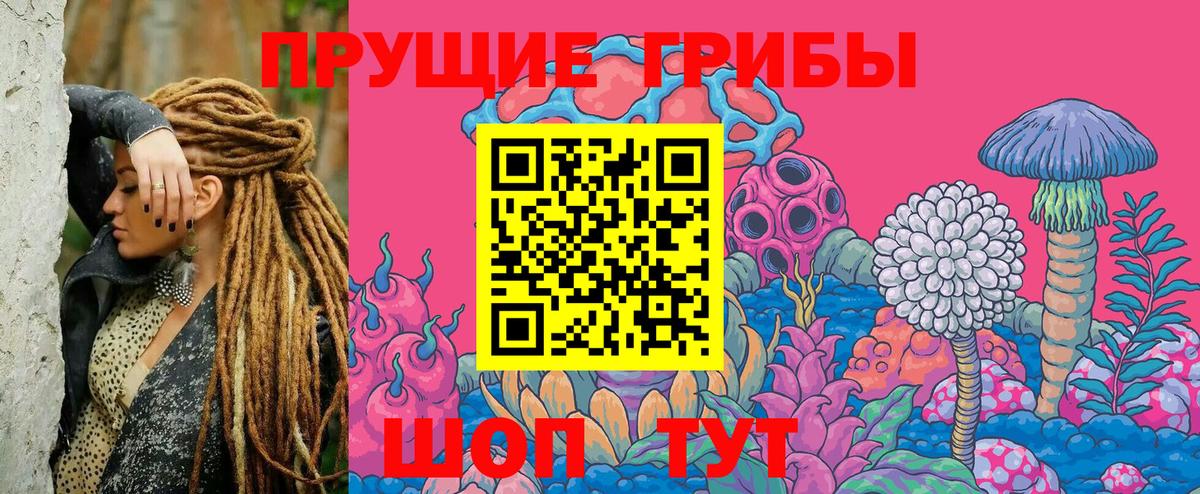 Псилоцибиновые грибы Cubensis  Вход с VPN  Люберцы 